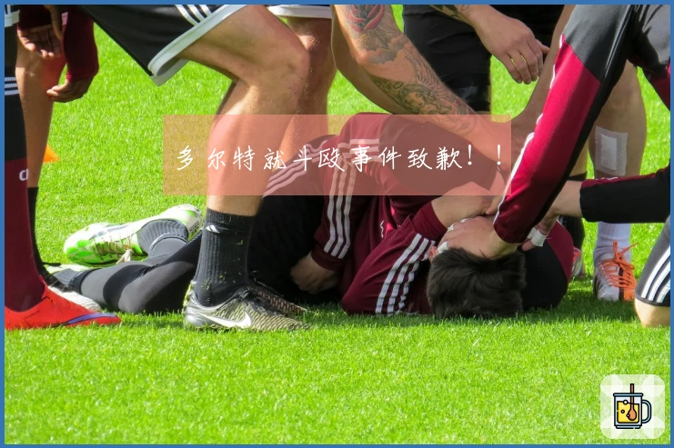 多尔特就斗殴事件致歉！！