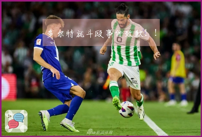 多尔特就斗殴事件致歉！！