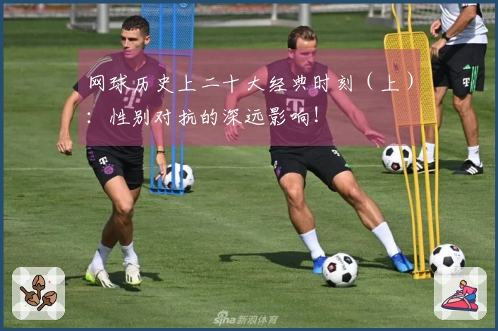 网球历史上二十大经典时刻(上):性别对抗的深远影响!